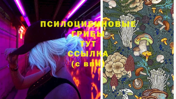 PSILOCYBIN Абинск