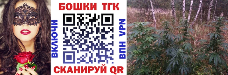 купить закладку  Жиздра  мега   Каннабис индика 